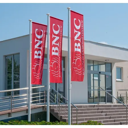 Bnc - Restaurant - Bowling מלון 3*